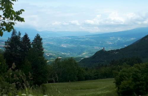 Appartamenti Il Cerbiatto - Photo 34