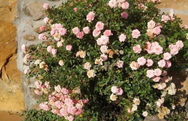 Casas las Carolinas - Foto 29