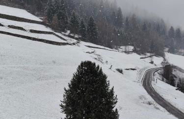 Il Maso del Nonno - Foto 26