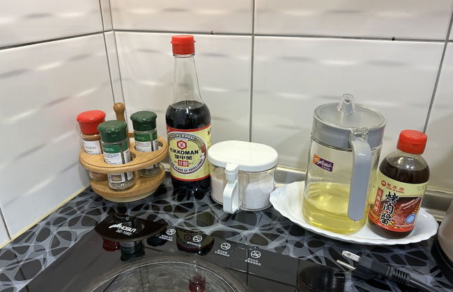 Entire APARTMENT - Photo 13