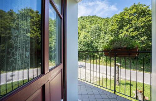 Agriturismo Malga Riondera - Foto 38