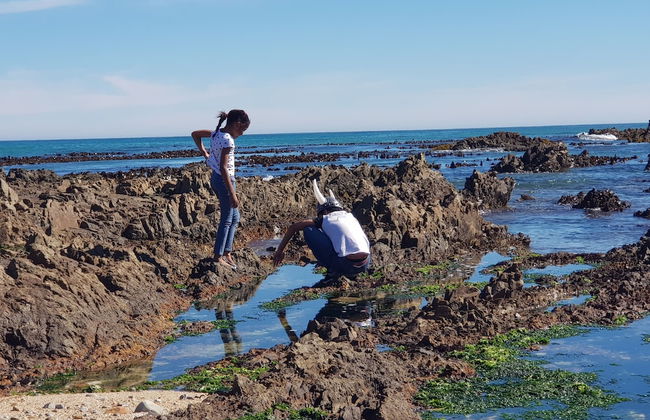 Walkerbay Accommodation - Foto 49