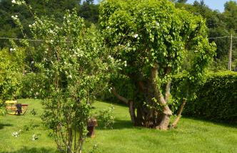 Agriturismo Morgan - Foto 30