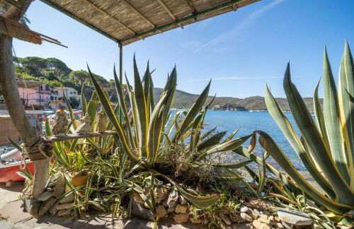Agave direclty on the beach - Goelba - Foto 29
