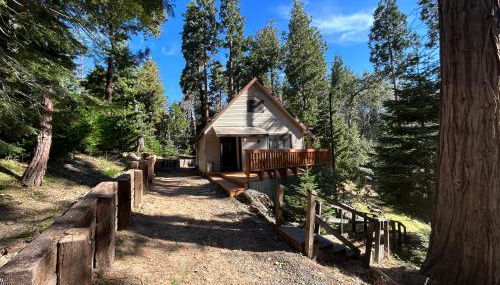 Sequoia National Forest Cabin-ATV Ride - Foto 2