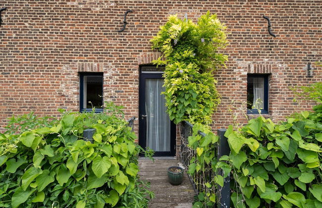 Located Near Maastricht Towards the Belgium Border - Photo 2