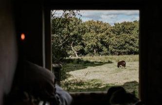 The Little Welsh Cottage - Foto 12