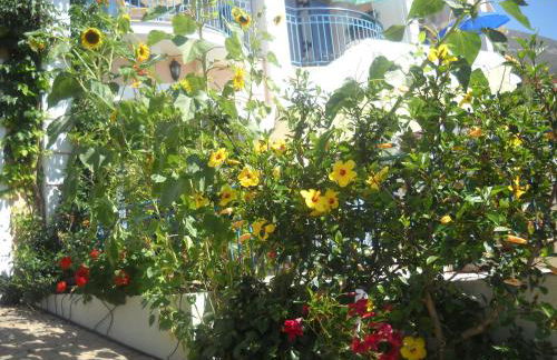 Olive Bay Hotel - Foto 27