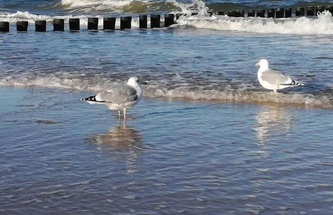 Villa Wald-Eck - Foto 35