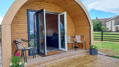 High Whashton Springs Glamping Pod, Richmond Yorks - Foto 2, Garden, Garden view