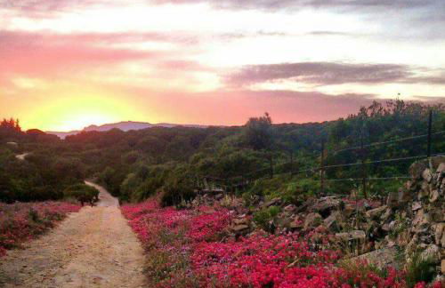 Charming House in El Chaparral - Foto 14