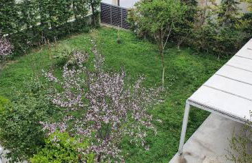 Melina Knossos Iraklio Crete - Foto 19