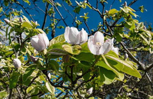 Evoramonte Encantada - Foto 14