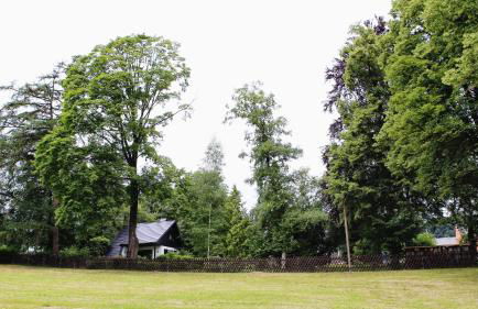 Ferienhaus Drebach - Foto 31