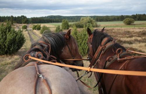 Ferienwohnungen / Ferienhaus Wahlers - Foto 17