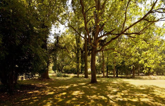 Spacious Holiday Home in Sommerfeld near Lake - Foto 23