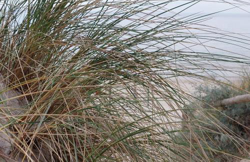 Resort Hevenia Apartament Nr 8 - Foto 18