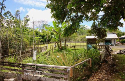 6acres- 6 Bedrms- Soccer Field- Trails- Baths- Swings - Foto 41