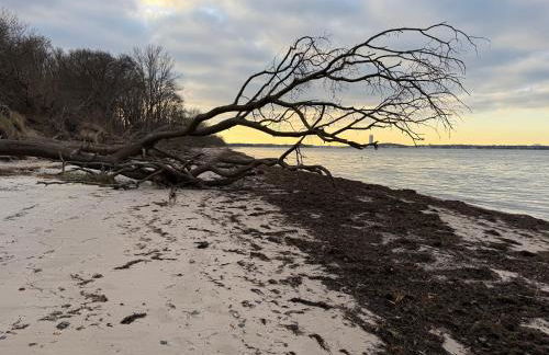 Ferienwohnung an der Ostsee Nähe Priwall - Photo 11