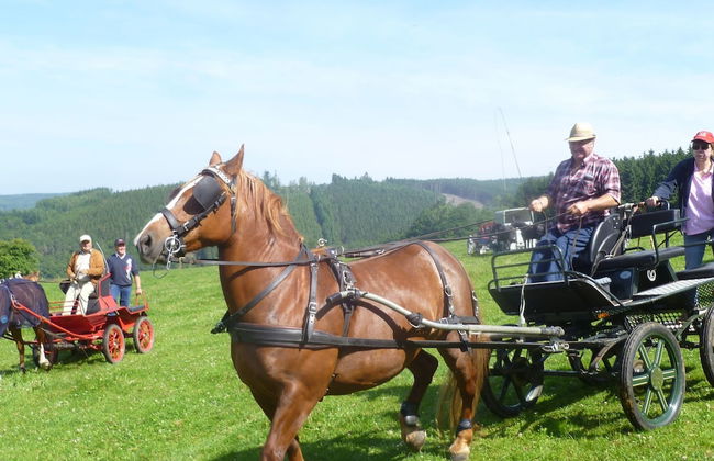 Ardennic Farmhouse for Groups - Photo 36