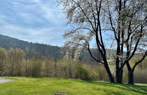 Natur Pur-Waldurlaub im Tiny House - Foto 18