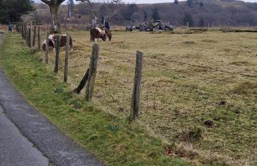 Misty Mountain Log Cabin - Trawsfynydd - Foto 17