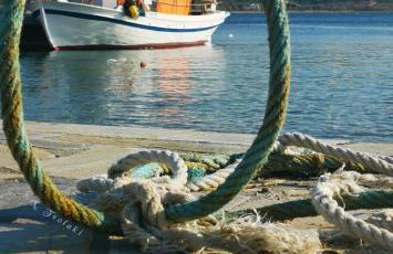 Sun Senses beach front villa with private beach - Photo 75