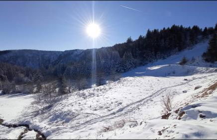 Sur la rive du Lac - Foto 17