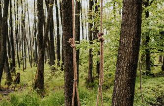 Dziki Las - domki na drzewach - Foto 11