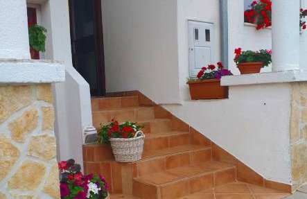 Apartments Villa Arta - Photo 31