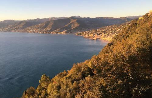 Glimpse of Paradise Beach with Parking - Foto 33