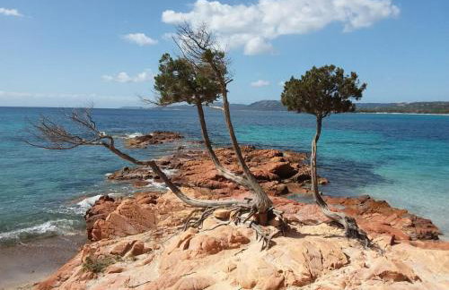 Villa Acqua Doria - Photo 47