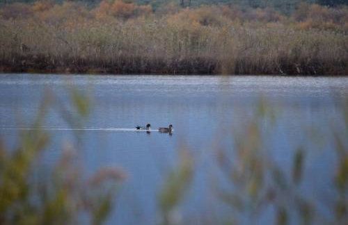 Nafplio, hill with an amazing view - Foto 69