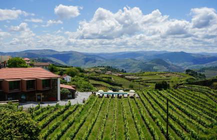 Casa do Santo - Wine & Tourism - Foto 4