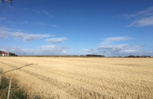 Beach House Walk - Foto 25