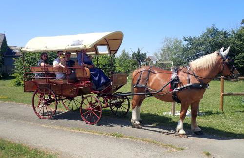 Gîte familial 3 chambres- La Flèche - Le Lude - Photo 30