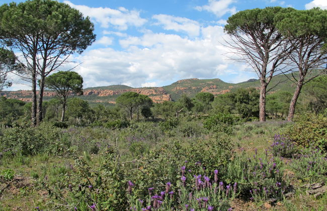 3 bedroom House in La Motte with swimming pool and garden - Photo 38