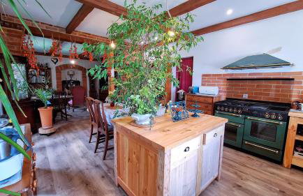 Dom Pod Złotym Bażantem - Foto 44