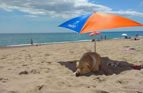 Mar y Montaña - l'Hospitalet de l'Infant - Foto 29