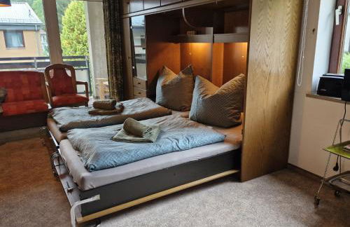 Ferienbutzen Harz in Sieber - Foto 11