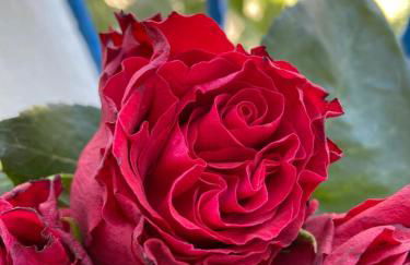 Keepers Lodge - Photo 43