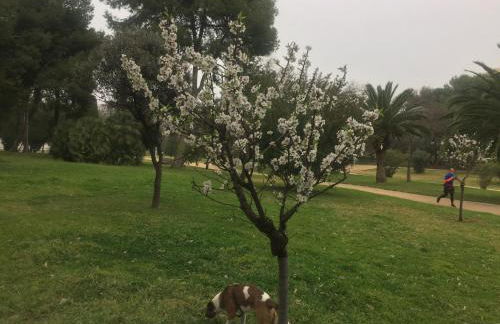 MÍ casa YOUR HOME - Photo 38