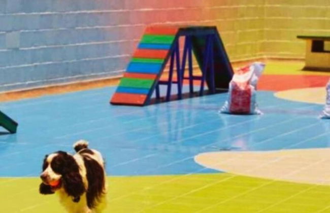 Apartamentos Club Residencial Ibague - Foto 79