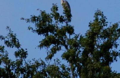 Molino della Tuoma - Foto 39