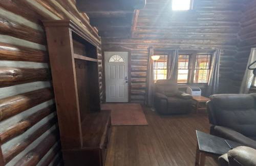 Big Bear Lodge with SAUNA - Foto 23