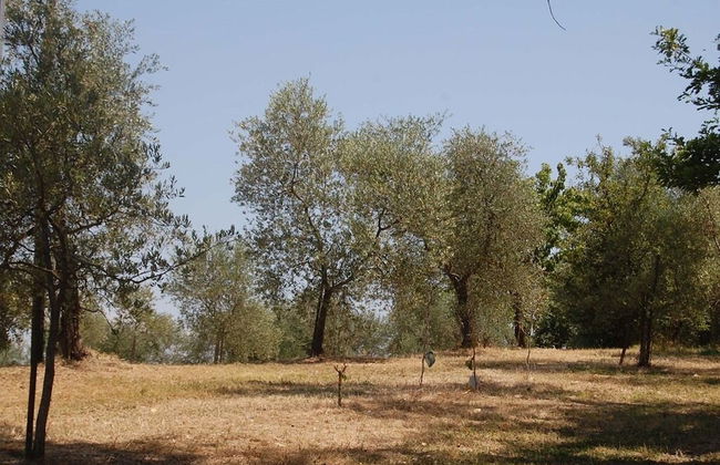 Bio Agriturismo La Spiga D'oro - Photo 31