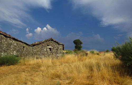 Comfortable Rural Cottage in Ancient Village in the Douro Region - Photo 67
