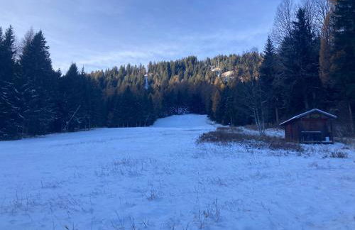 LaStubediGió - Foto 19