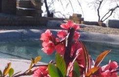 Agriturismo Cascina Knec - Photo 24