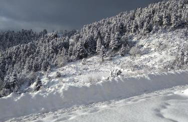 Escapade Luxury Residences - Foto 25